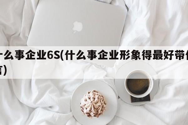 什么事企业6S(什么事企业形象得最好带代言)